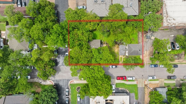 4312 Ave A, Austin, TX 78751 - photo 3