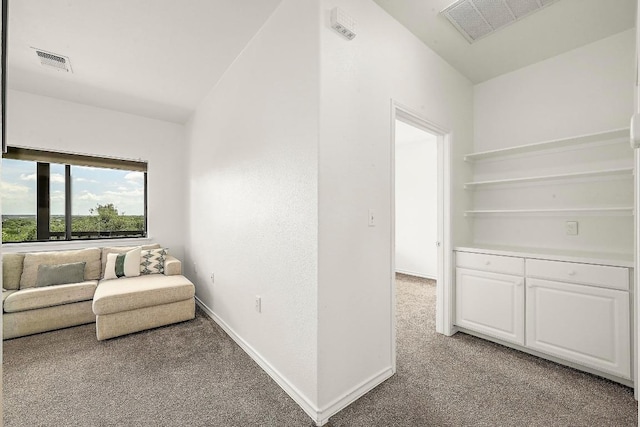 8413 Indian Smt, Austin, TX 78737 - photo 32