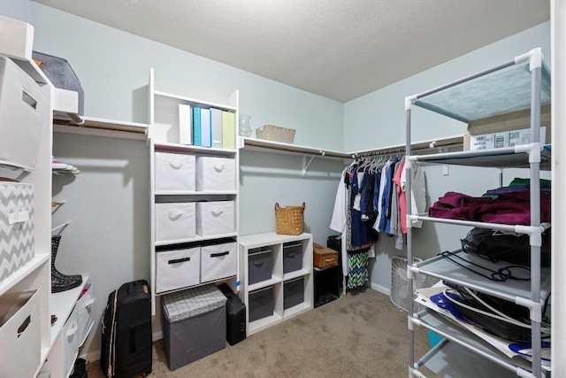 120 Hawkins Ct, Hutto, TX 78634 - spacious closet featuring carpet