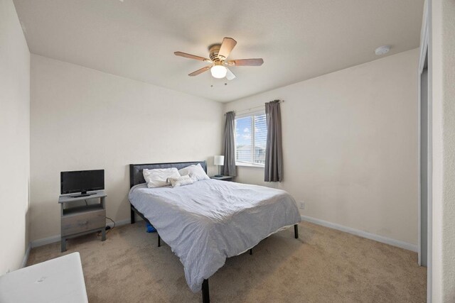 120 Hawkins Ct, Hutto, TX 78634 - photo 16