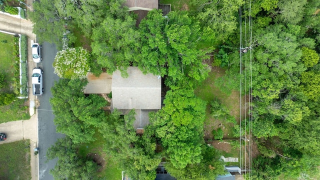 3633 Peregrine Falcon Dr, Austin, TX 78746 - photo 26