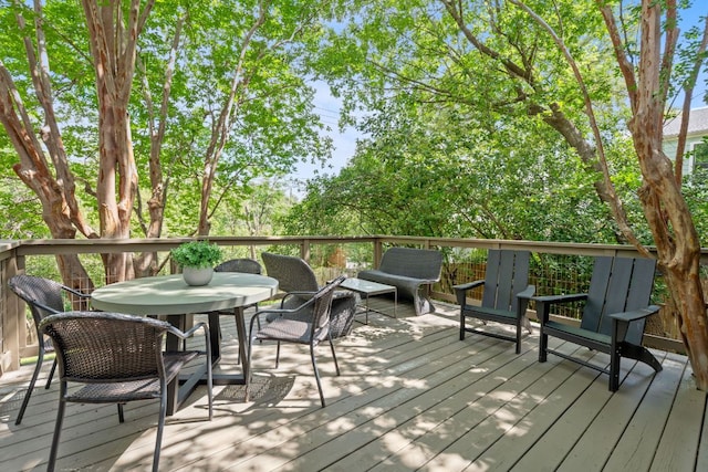 3633 Peregrine Falcon Dr, Austin, TX 78746 - photo 7