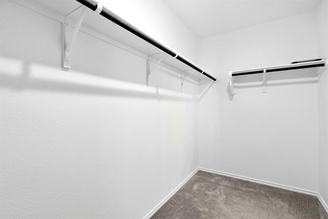 420 Black Alder St, Georgetown, TX 78626 - photo 29