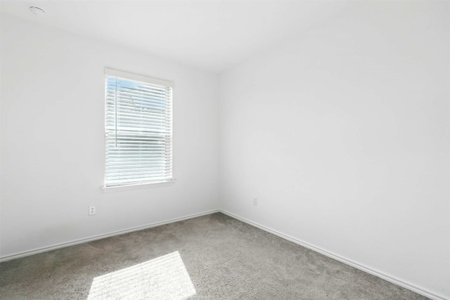 420 Black Alder St, Georgetown, TX 78626 - photo 32