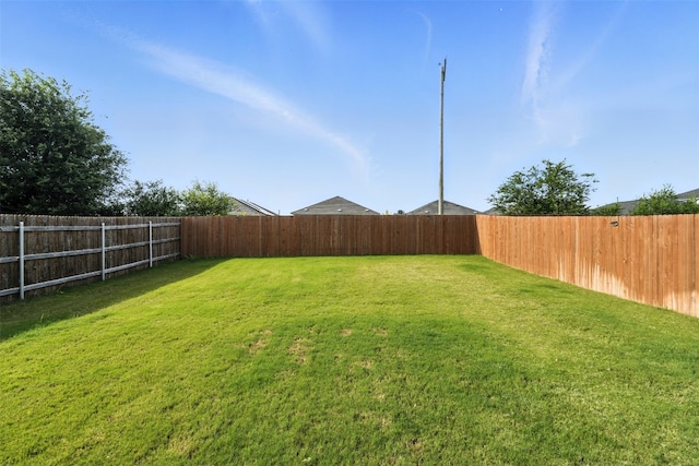 420 Black Alder St, Georgetown, TX 78626 - photo 39