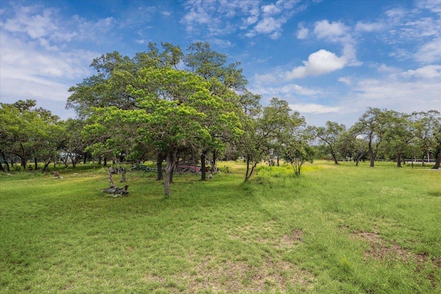 742 Park Shrs, Canyon Lake, TX 78133