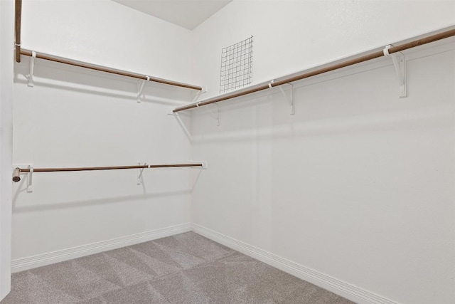1343 River Forest Dr, Round Rock, TX 78665 - walk in closet featuring carpet