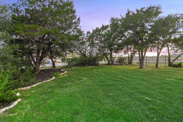 3009 Lawrence Dr, Austin, TX 78734 - view of yard