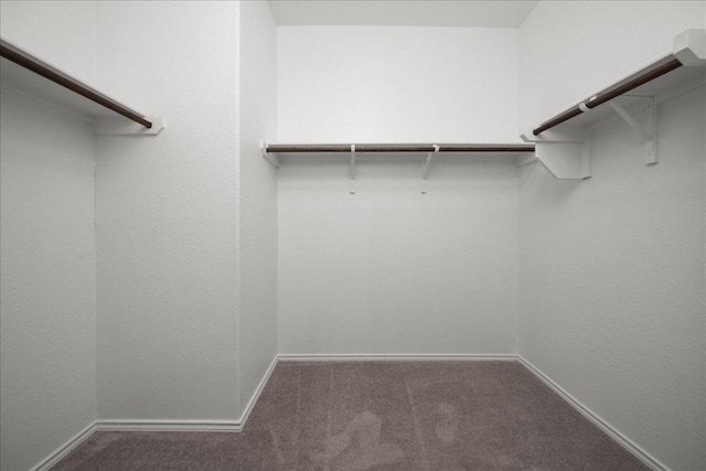 212 Gunther Way, Taylor, TX 76574 - spacious closet featuring carpet flooring