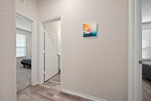 212 Gunther Way, Taylor, TX 76574 - hall with wood finished floors and baseboards