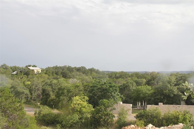 4715 Eck Ln, Austin, TX 78734 - photo 6
