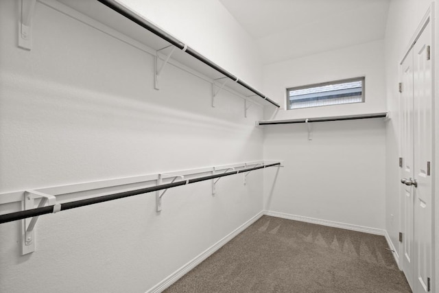 1921 Sauterne Dr, Leander, TX 78641 - spacious closet with dark carpet