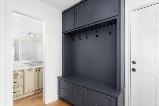 9309 Cedar Forest Dr, Austin, TX 78750 - mudroom featuring light wood-type flooring and a sink