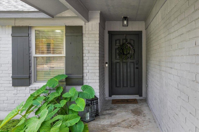 2111 Elder Pl, Round Rock, TX 78664 - photo 4