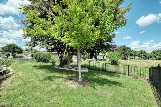 118 Sandy Creek Trl, Georgetown, TX 78633 - photo 31