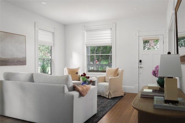 1018 Shelley Ave, Austin, TX 78703 - living room featuring plenty of natural light, wood finished floors, and recessed lighting