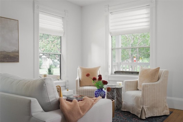 1018 Shelley Ave, Austin, TX 78703 - living area featuring plenty of natural light and wood finished floors