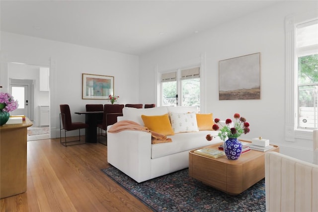 1018 Shelley Ave, Austin, TX 78703 - living room featuring wood finished floors and healthy amount of natural light