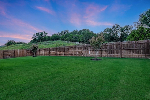 209 Scarlett Thistle Dr, Liberty Hill, TX 78642 - photo 24