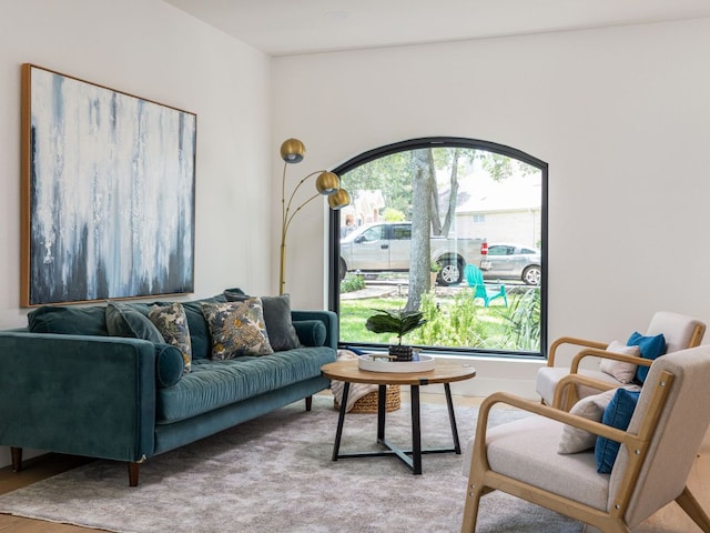 6000 Roxbury Ln, Austin, TX 78739 - living area with healthy amount of natural light