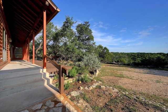 401 Madrone Canyon Dr, Dripping Springs, TX 78620 - photo 14