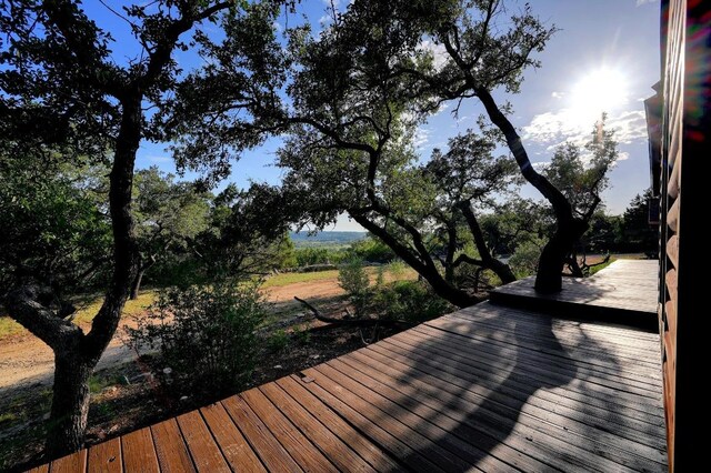 401 Madrone Canyon Dr, Dripping Springs, TX 78620 - photo 3