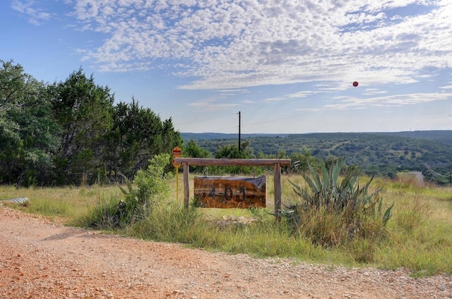 401 Madrone Canyon Dr, Dripping Springs, TX 78620 - photo 7