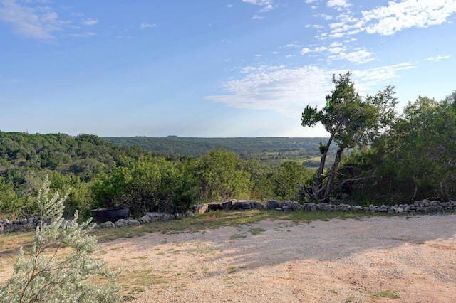 401 Madrone Canyon Dr, Dripping Springs, TX 78620 - photo 8