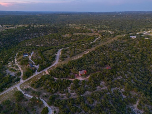 401 Madrone Canyon Dr, Dripping Springs, TX 78620 - photo 39
