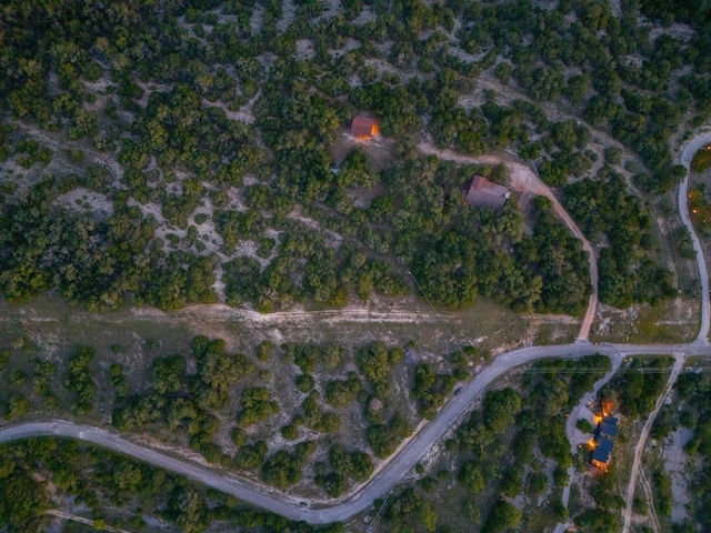 401 Madrone Canyon Dr, Dripping Springs, TX 78620 - photo 40