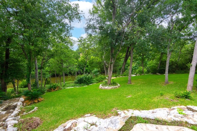 1404 Pearl Cv, Round Rock, TX 78681 - view of grassy yard