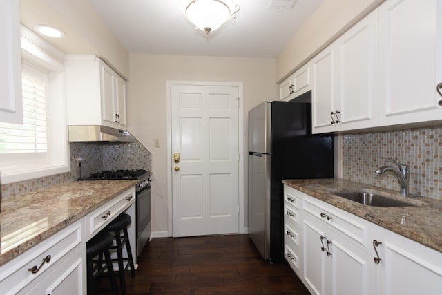 1404 Pearl Cv, Round Rock, TX 78681 - kitchen with stainless steel appliances, under cabinet range hood, dark wood-type flooring, backsplash, and light stone counters