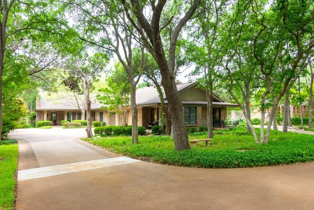 1404 Pearl Cv, Round Rock, TX 78681 - ranch-style home featuring driveway and brick siding