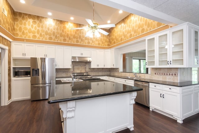 1404 Pearl Cv, Round Rock, TX 78681 - kitchen featuring stainless steel appliances, under cabinet range hood, dark wood-style flooring, tasteful backsplash, and recessed lighting