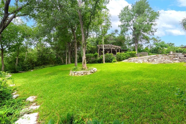 1404 Pearl Cv, Round Rock, TX 78681 - view of grassy yard