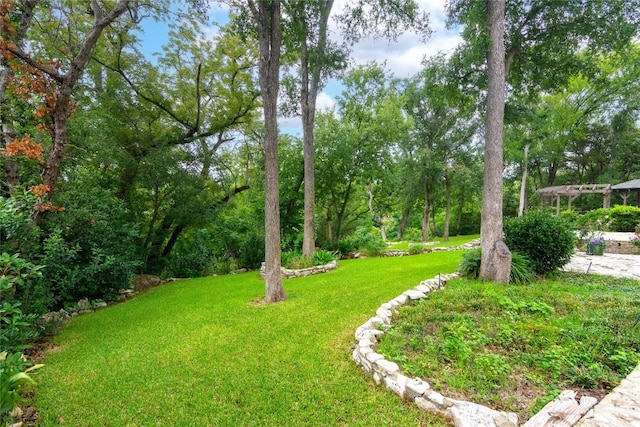 1404 Pearl Cv, Round Rock, TX 78681 - view of grassy yard