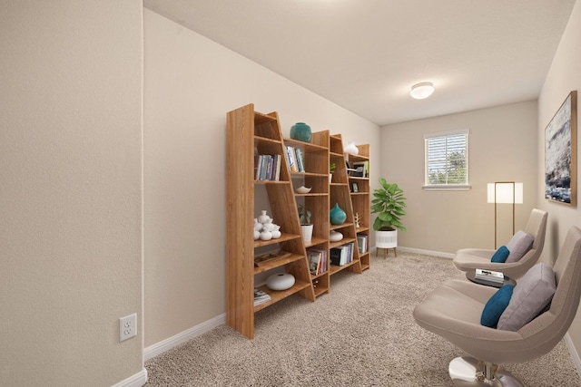 605 Joppa Rd, Leander, TX 78641 - living area featuring carpet floors