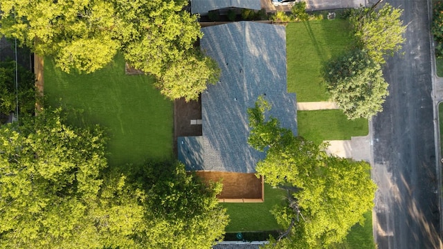1206 Cloverleaf Dr, Austin, TX 78723 - drone / aerial view