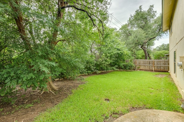 13102 Amarillo Ave, Austin, TX 78729 - view of yard