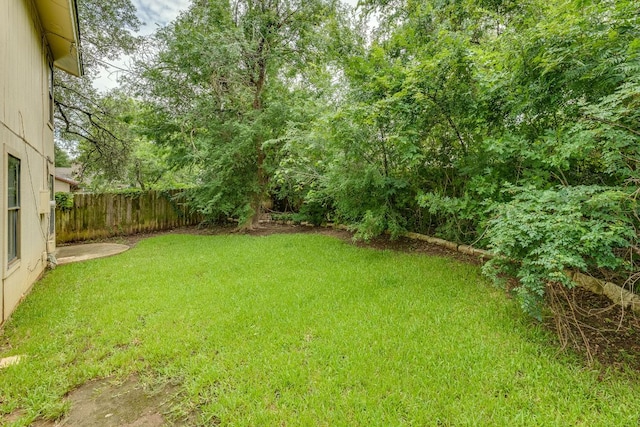 13102 Amarillo Ave, Austin, TX 78729 - view of yard
