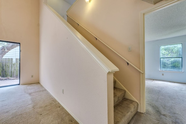 13102 Amarillo Ave, Austin, TX 78729 - stairs featuring carpet and a textured ceiling