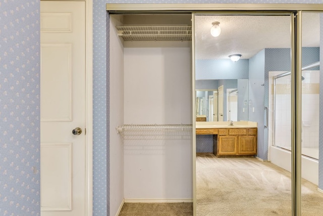 13102 Amarillo Ave, Austin, TX 78729 - closet featuring a sink