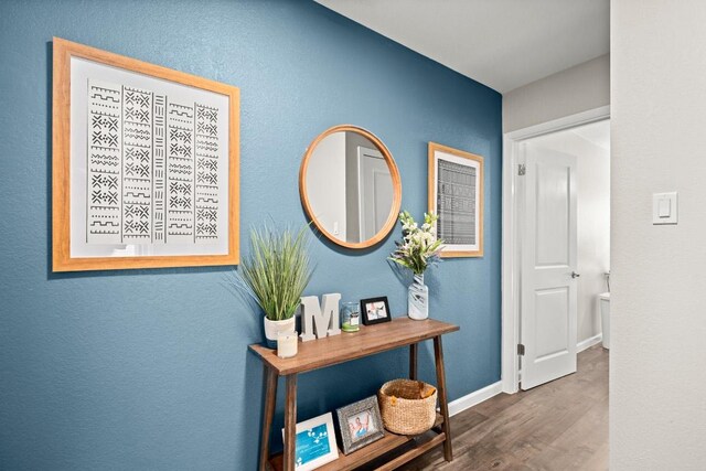 2604 Alcott Ln Unit A & B, Austin, TX 78748 - hall with wood finished floors and baseboards