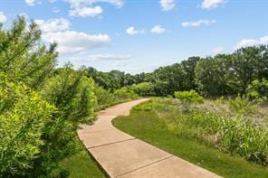 204 Carrington Dr, Buda, TX 78610 - photo 34