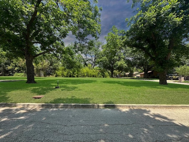 922 Booneville Ave, New Braunfels, TX 78130 - photo 3