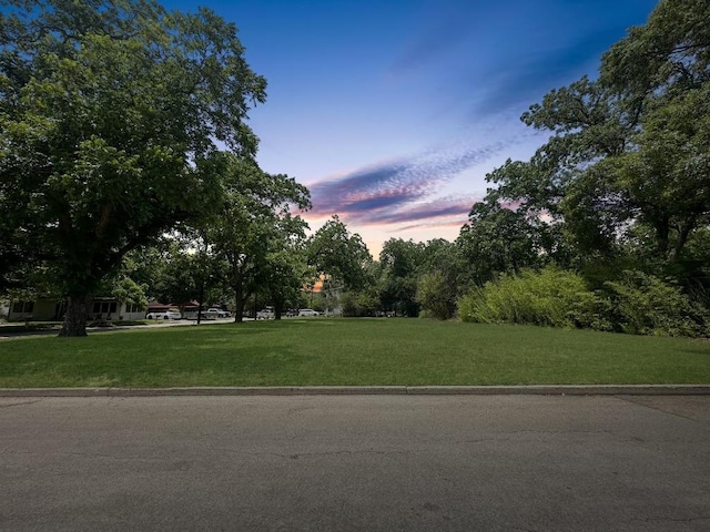 922 Booneville Ave, New Braunfels, TX 78130 - photo 6