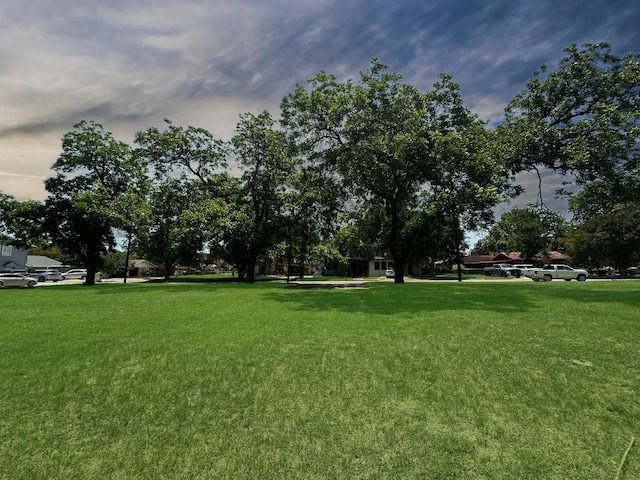 922 Booneville Ave, New Braunfels, TX 78130 - photo 9