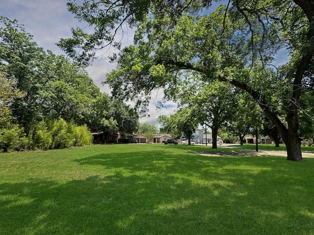 922 Booneville Ave, New Braunfels, TX 78130 - photo 10