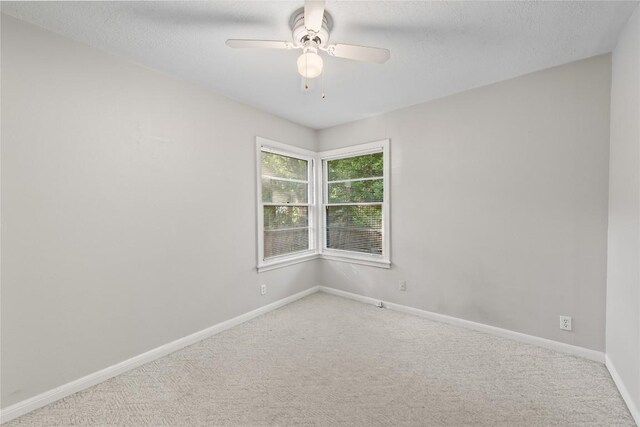 1301 Piedmont Ave, Austin, TX 78757 - photo 26