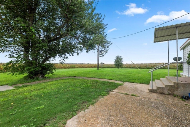 17205 County Line Rd, Elgin, TX 78621 - view of green lawn